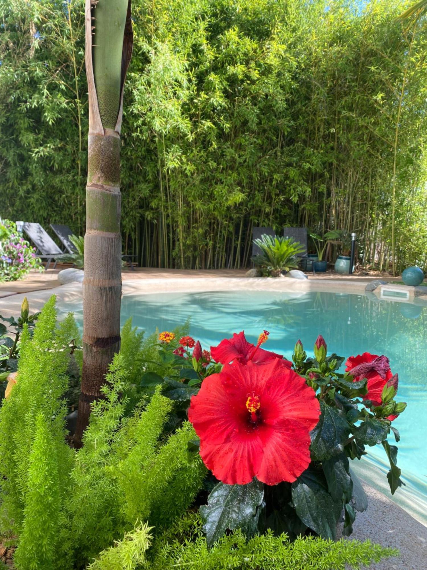Appt Ambiance Boheme 2 Ch Piscine Lagon Lejlighed Tarbes Eksteriør billede